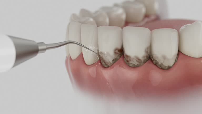 Reliable Dental contractor in Laurel, VA by Dentist Open Now